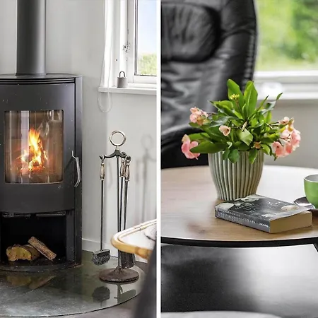 Ae305-aeroskobing-hanses-ager-2 *